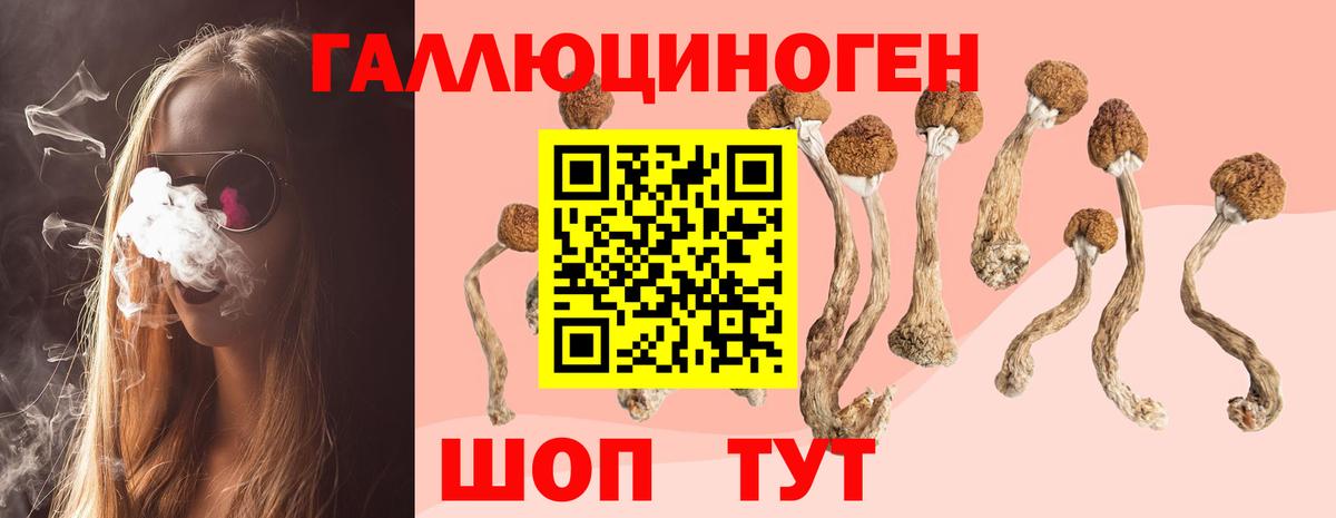 Псилоцибиновые грибы прущие грибы Туймазы