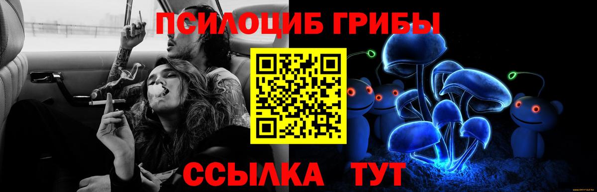 Псилоцибиновые грибы Psilocybe  Галлюциногенные грибы мухоморы  Вход с VPN  Туймазы 